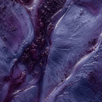 Bilberry extract